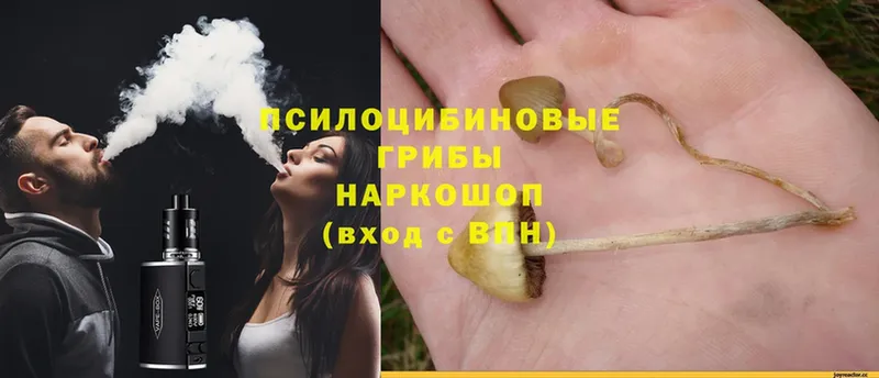 blacksprut ссылка  Агидель  Псилоцибиновые грибы Psilocybine cubensis 